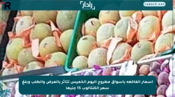 أسعار الفاكهة بأسواق مطروح اليوم الخميس تتأثر بالعرض والطلب وبلغ سعر الكنتالوب 15 جنيها